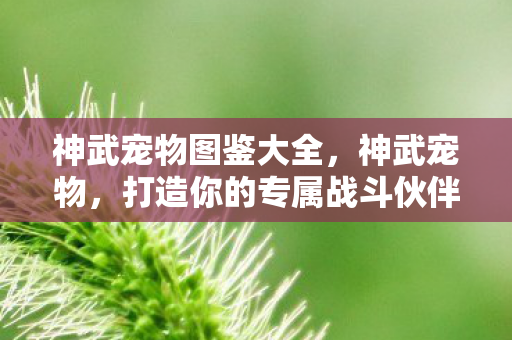 打造你的专属战斗伙伴图片