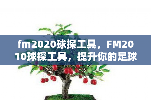 提升你的足球管理游戏体验图片