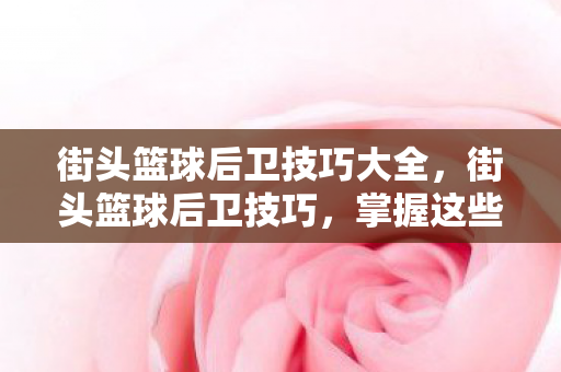 街头篮球后卫技巧大全图片