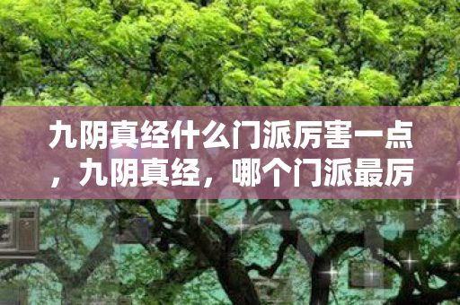 九阴真经什么门派厉害一点图片