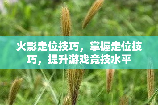 提升游戏竞技水平图片