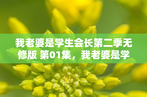 我老婆是学生会长第二季无修版 第01集图片