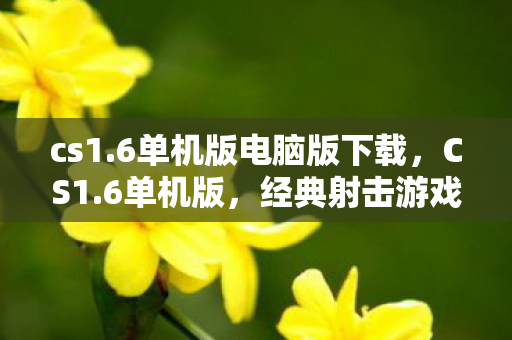 cs1.6单机版电脑版下载，CS1.6单机版，经典射击游戏的回顾与体验