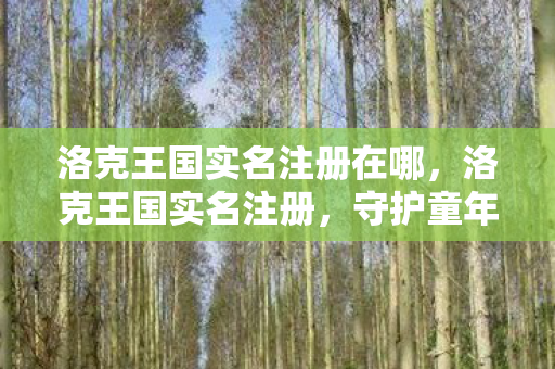 洛克王国实名注册在哪图片