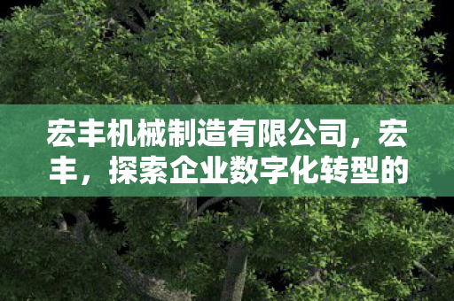 探索企业数字化转型的先锋图片