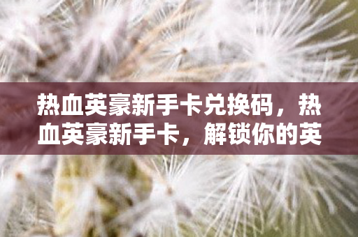 热血英豪新手卡兑换码图片