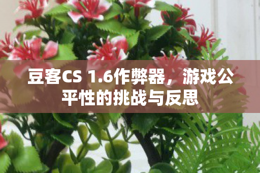 豆客CS 1.6作弊器，游戏公平性的挑战与反思