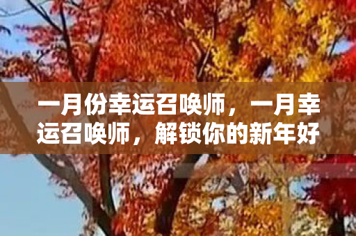 一月份幸运召唤师图片