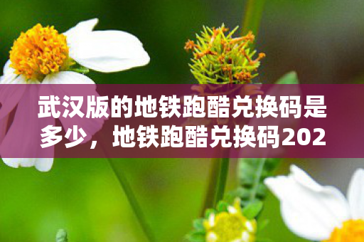 武汉版的地铁跑酷兑换码是多少图片