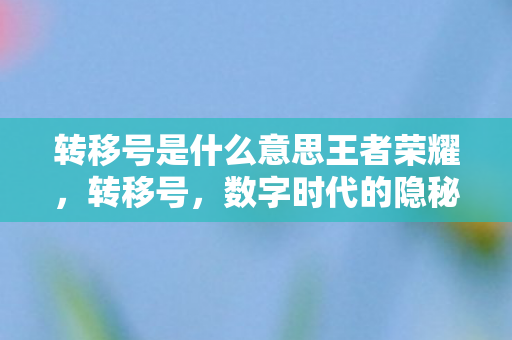 数字时代的隐秘交易与风险解析图片