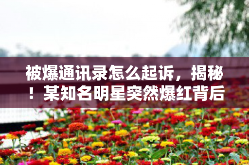 某知名明星突然爆红背后的真相图片