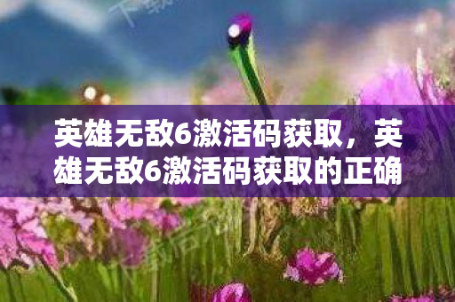 英雄无敌6激活码获取，英雄无敌6激活码获取的正确途径