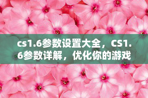 cs1.6参数设置大全，CS1.6参数详解，优化你的游戏体验
