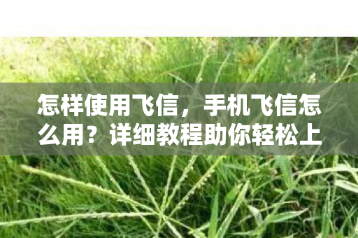 详细教程助你轻松上手图片