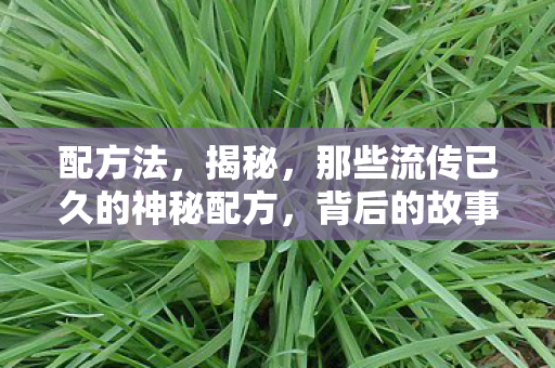 那些流传已久的神秘配方图片