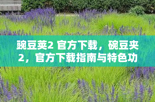 官方下载指南与特色功能解析图片