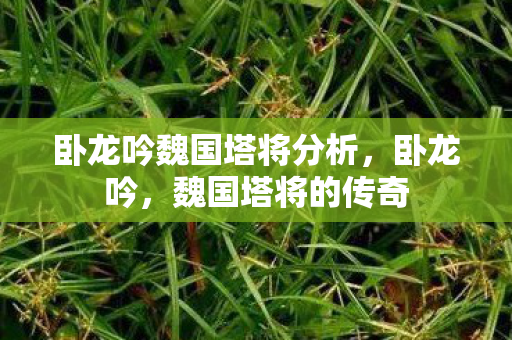 卧龙吟魏国塔将分析图片