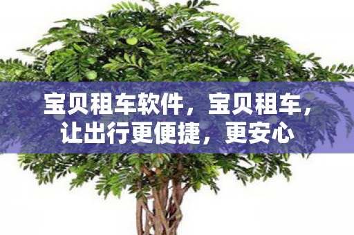 宝贝租车软件图片