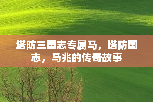 塔防三国志专属马图片