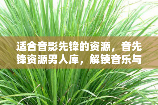 解锁音乐与生活的无限可能图片