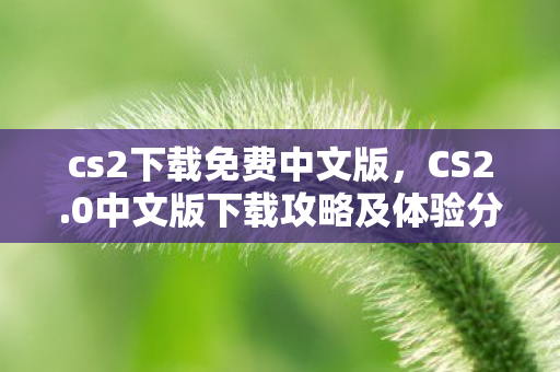 cs2下载免费中文版，CS2.0中文版下载攻略及体验分享