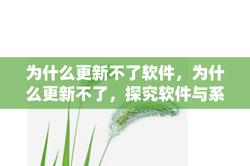 探究软件与系统更新的常见问题与解决方案图片