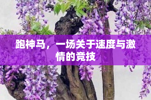 一场关于速度与激情的竞技图片