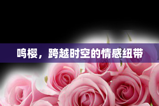 跨越时空的情感纽带图片