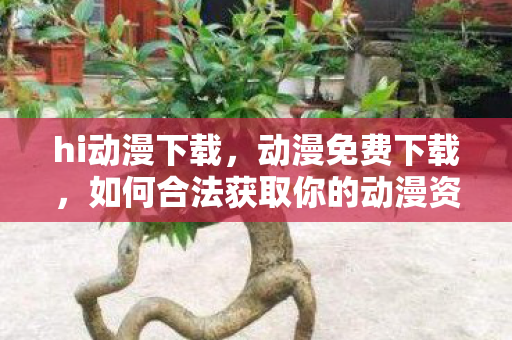 如何合法获取你的动漫资源图片