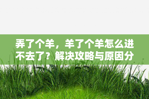 羊了个羊怎么进不去了图片