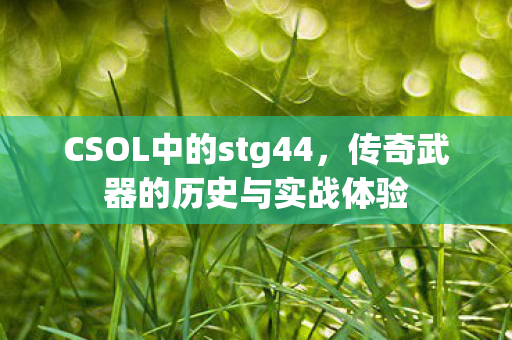 CSOL中的stg44，传奇武器的历史与实战体验