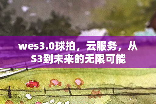 从S3到未来的无限可能图片
