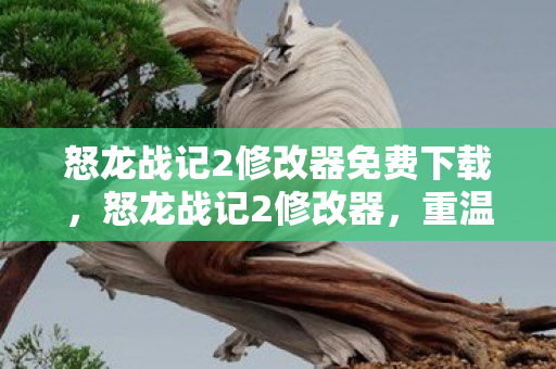 怒龙战记2修改器免费下载图片