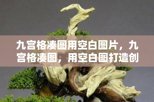 用空白图打造创意无限的可能图片