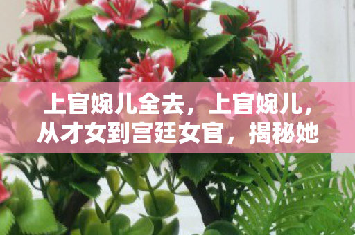 从才女到宫廷女官图片