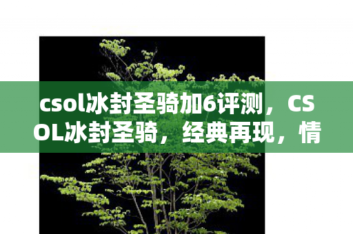 csol冰封圣骑加6评测图片