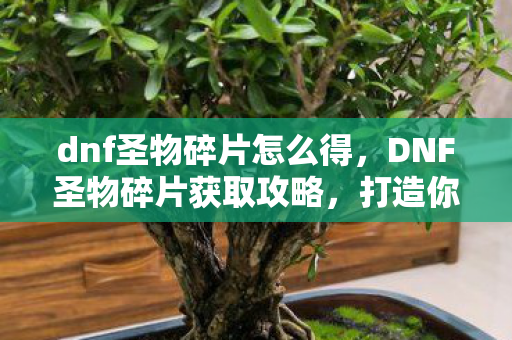 DNF圣物碎片获取攻略图片