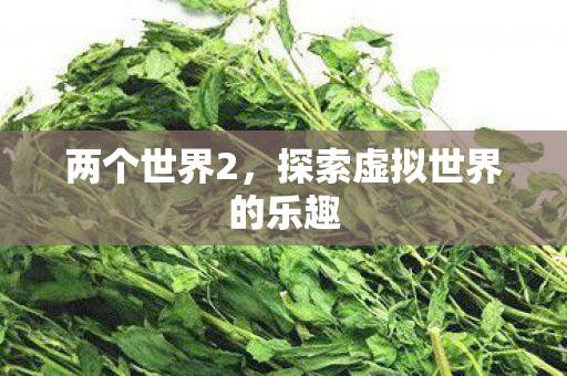 两个世界2，探索虚拟世界的乐趣