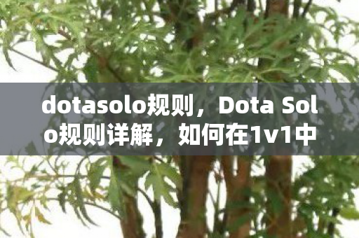 Dota Solo规则详解图片