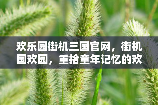 重拾童年记忆的欢乐角落图片