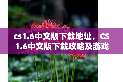 cs1.6中文版下载地址，CS1.6中文版下载攻略及游戏介绍