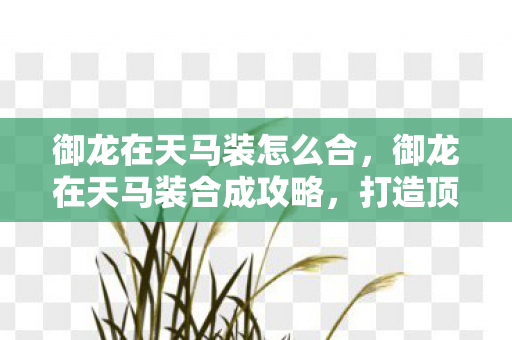 御龙在天马装合成攻略图片