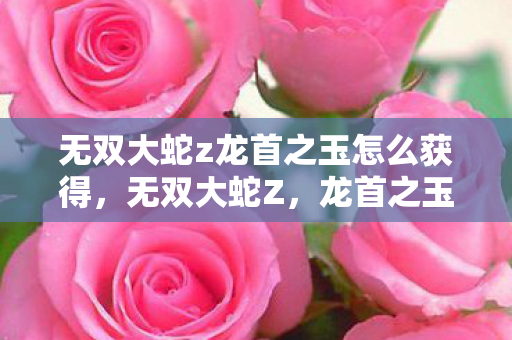 无双大蛇z龙首之玉怎么获得图片