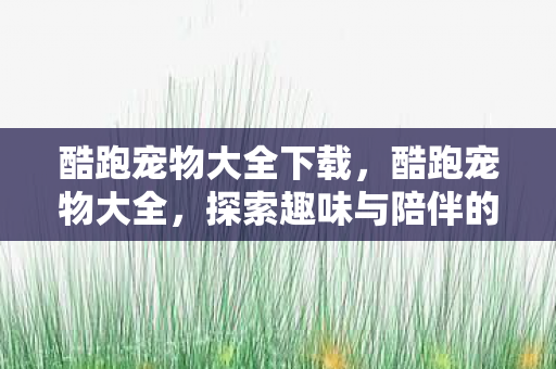 探索趣味与陪伴的奇妙世界图片