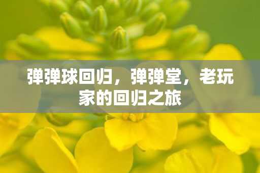 老玩家的回归之旅图片