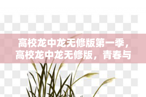 高校龙中龙无修版第一季图片