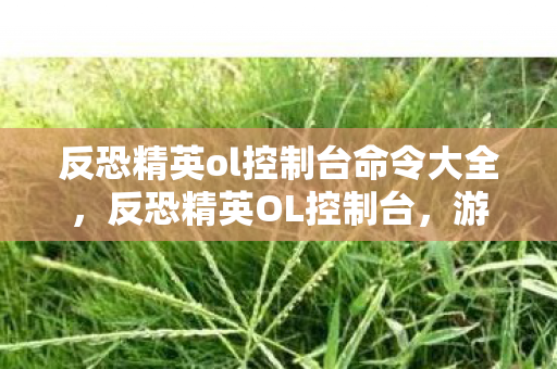 反恐精英ol控制台命令大全，反恐精英OL控制台，游戏内外的策略与战术探讨