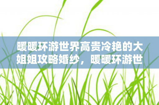 暖暖环游世界高贵冷艳的大姐姐攻略婚纱图片