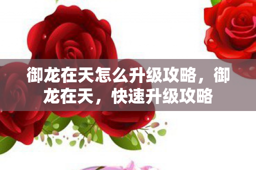 御龙在天怎么升级攻略图片