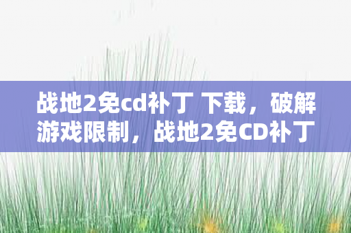 战地2免CD补丁的真相与风险图片